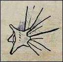 Saavedro's Journal Drawings