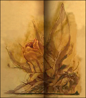 Atrus Serenia Journal Drawings